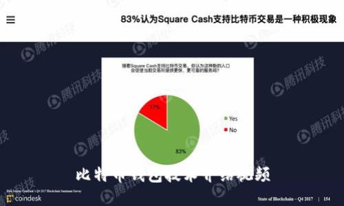 比特币钱包技术介绍视频