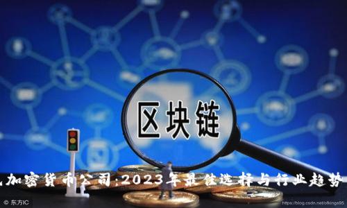 领先加密货币公司：2023年最佳选择与行业趋势分析