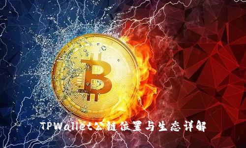 TPWallet公链位置与生态详解