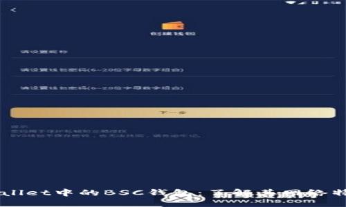 ### TPWallet中的BSC钱包：了解其网络特点以及应用