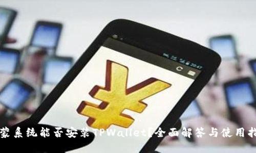 鸿蒙系统能否安装TPWallet？全面解答与使用指南