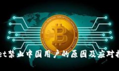 TPWallet禁止中国用户的原因及应对措施分析