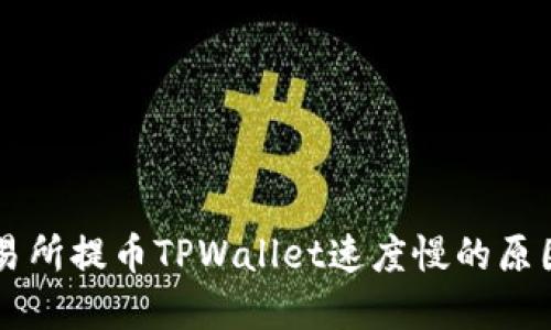 了解欧易交易所提币TPWallet速度慢的原因及解决方案