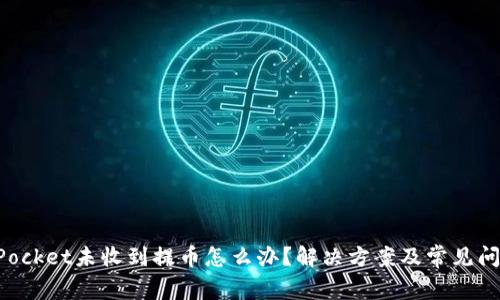 TokenPocket未收到提币怎么办？解决方案及常见问题解析