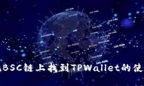 如何在BSC链上找到TPWallet的使用指南