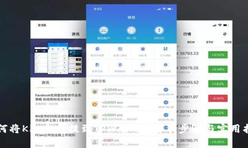 如何将Kishu币提到TPWallet：简单步骤与实用指南