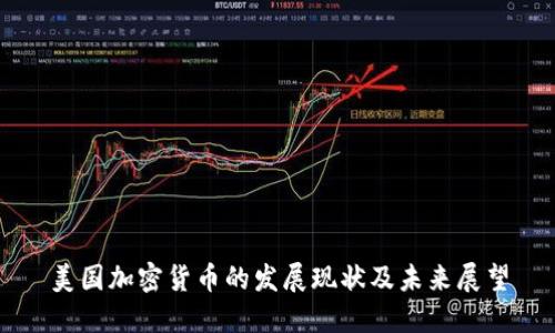 美国加密货币的发展现状及未来展望