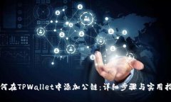 如何在TPWallet中添加公链：详细步骤与实用指南