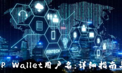   
如何找回TP Wallet用户名：详细指南与解决方案