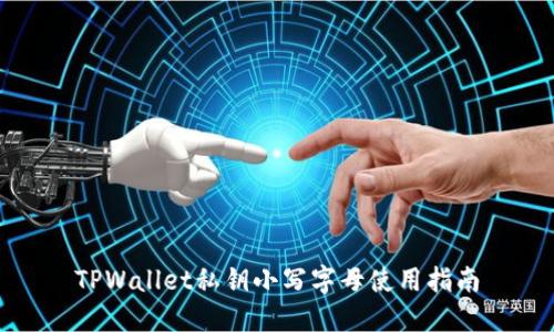 TPWallet私钥小写字母使用指南