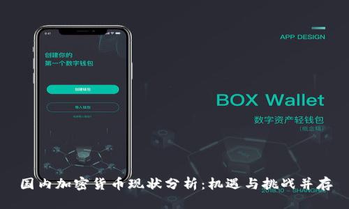 国内加密货币现状分析：机遇与挑战并存
