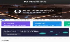 如何分辨真假TPWallet：关键技巧与注意事项
