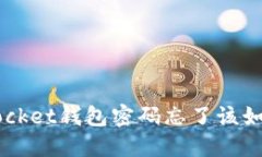 TokenPocket钱包密码忘了该如何处理？