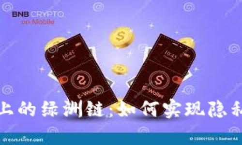 深入了解tpwallet上的绿洲链：如何实现隐私与可扩展性的结合
