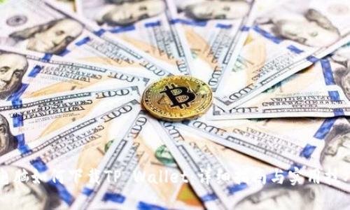 电脑如何下载TP Wallet：详细指南与实用技巧
