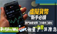   揭秘骗子如何盗取TP Wallet的资产，保障您的数字