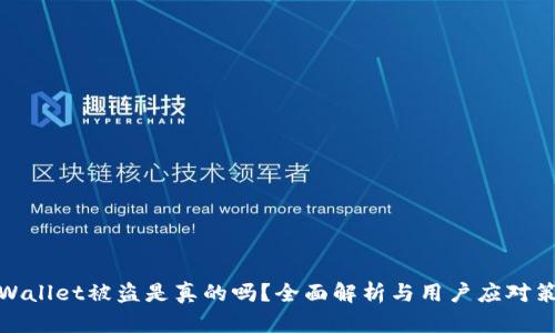 TPWallet被盗是真的吗？全面解析与用户应对策略