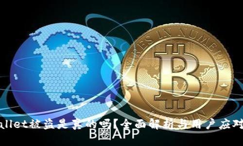 TPWallet被盗是真的吗？全面解析与用户应对策略