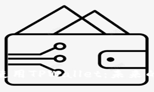 在拉斯维加斯使用TPWallet：未来的数字钱包体验