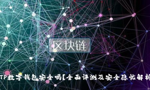 TP数字钱包安全吗？全面评测及安全隐忧解析