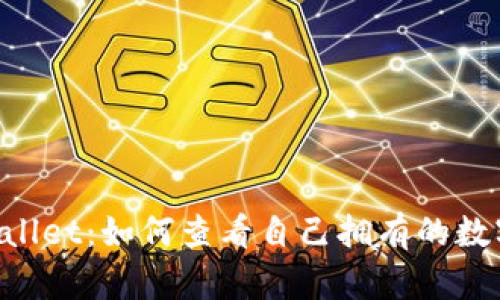TP Wallet：如何查看自己拥有的数字货币