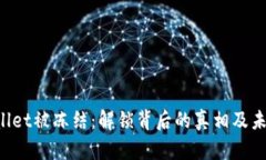 TP Wallet被冻结：解锁背后的真相及未来展望