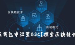 如何在TP电脑版钱包中设置BSC？探索区块链世界的