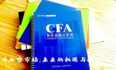 欧美货币加密市场：未来的机遇与挑战，谁将胜