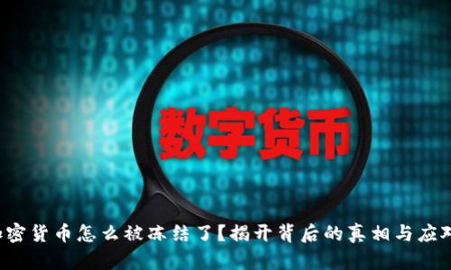 你的加密货币怎么被冻结了？揭开背后的真相与应对策略！