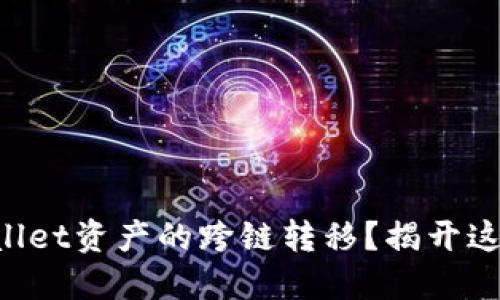 如何轻松实现TPWallet资产的跨链转移？揭开这一过程的神秘面纱！