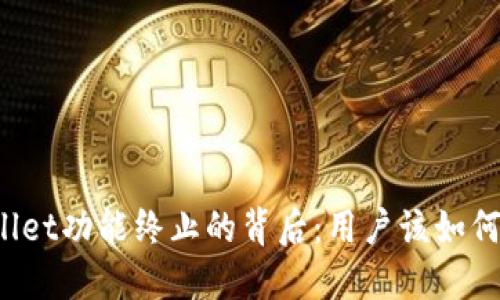 TPWallet功能终止的背后：用户该如何应对？