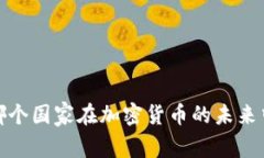 神秘赞助：哪个国家在加密货币的未来中暗中发