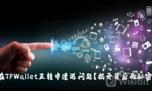 在TPWallet互转中遭遇问题？揭开背后的秘密！