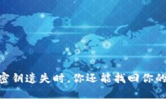 当TPWallet密钥遗失时，你还